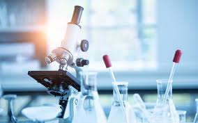 best laboratories